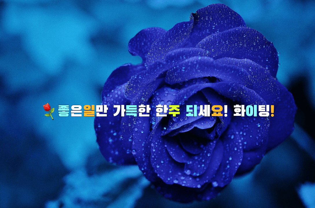  좋은일만 가득한 한주 되세요! 화이팅!