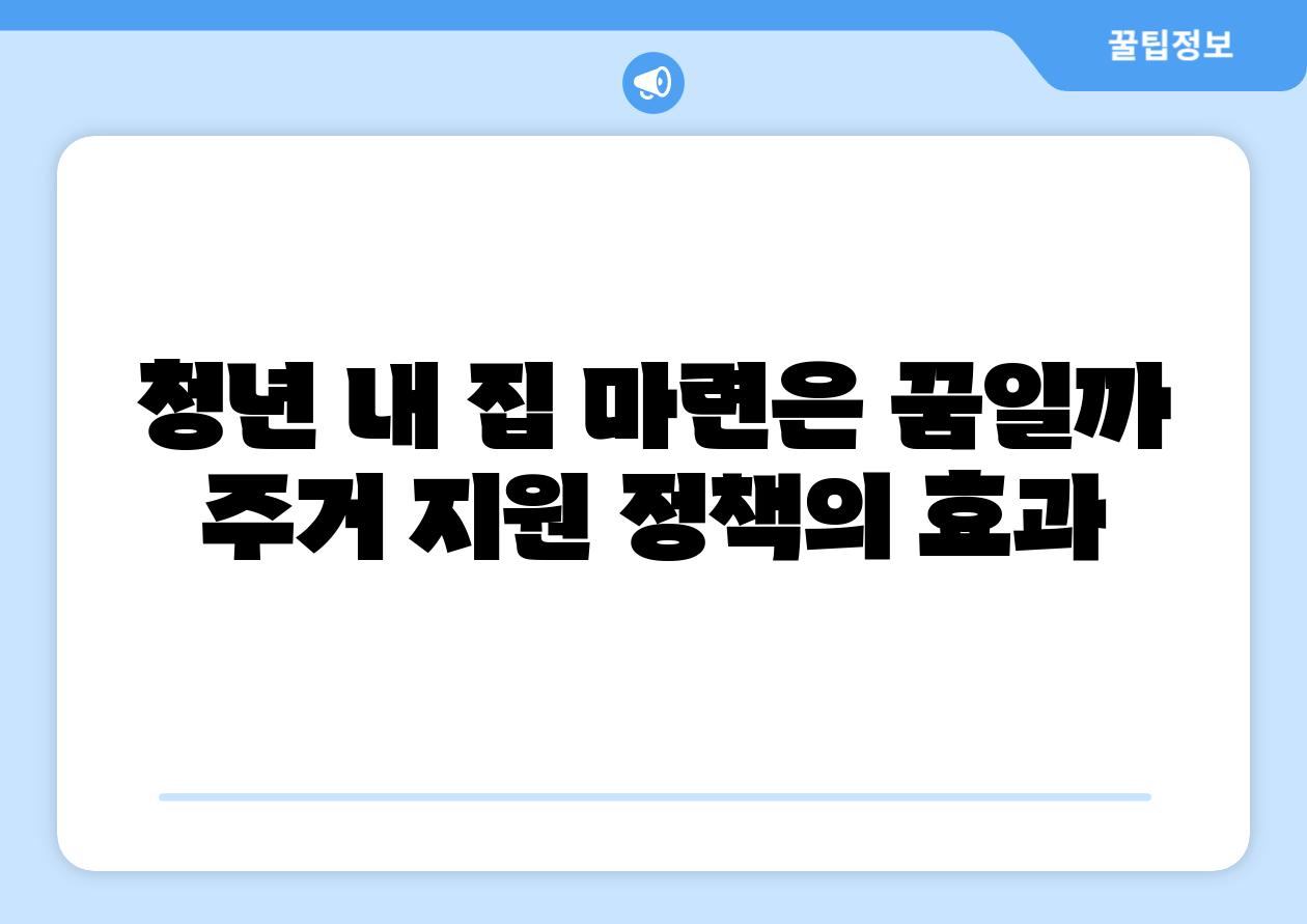 청년 내 집 마련은 꿈일까 주거 지원 정책의 효과