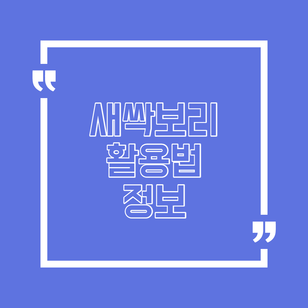  새싹보리 활용법 알아봐요