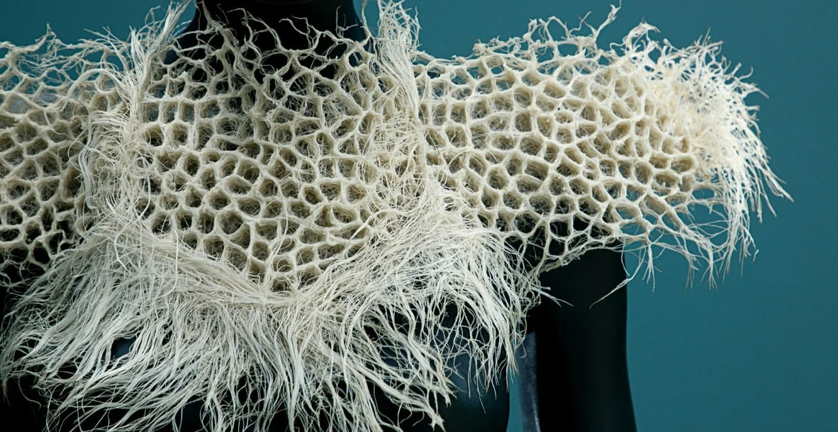 제나 할러웨이의 바이오매스 풀뿌리 패션 컬렉션 VIDEO: zena holloway launches a collection of bio-designs grown entirely from grass root