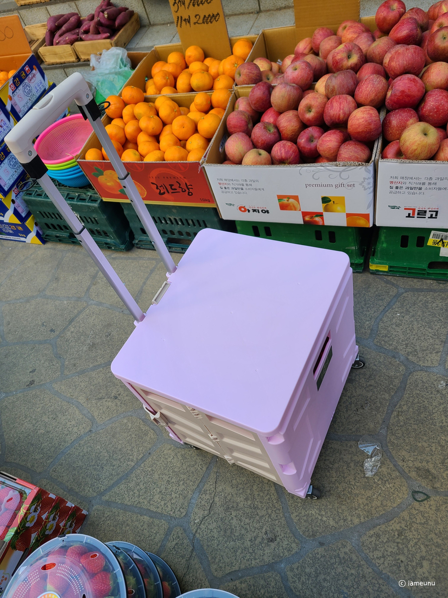 바구니 장캐리어 편해요 11