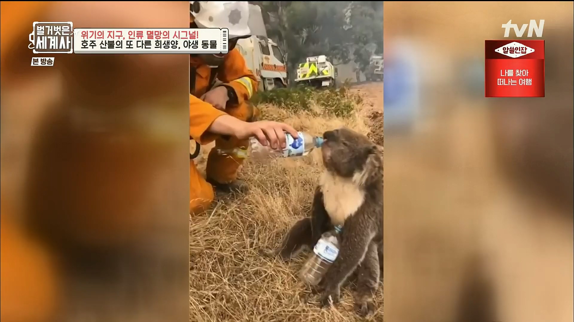 벌거벗은 세계사.E75.221129p.H264-F1RST.mp4_20221211_170930.460.jpg