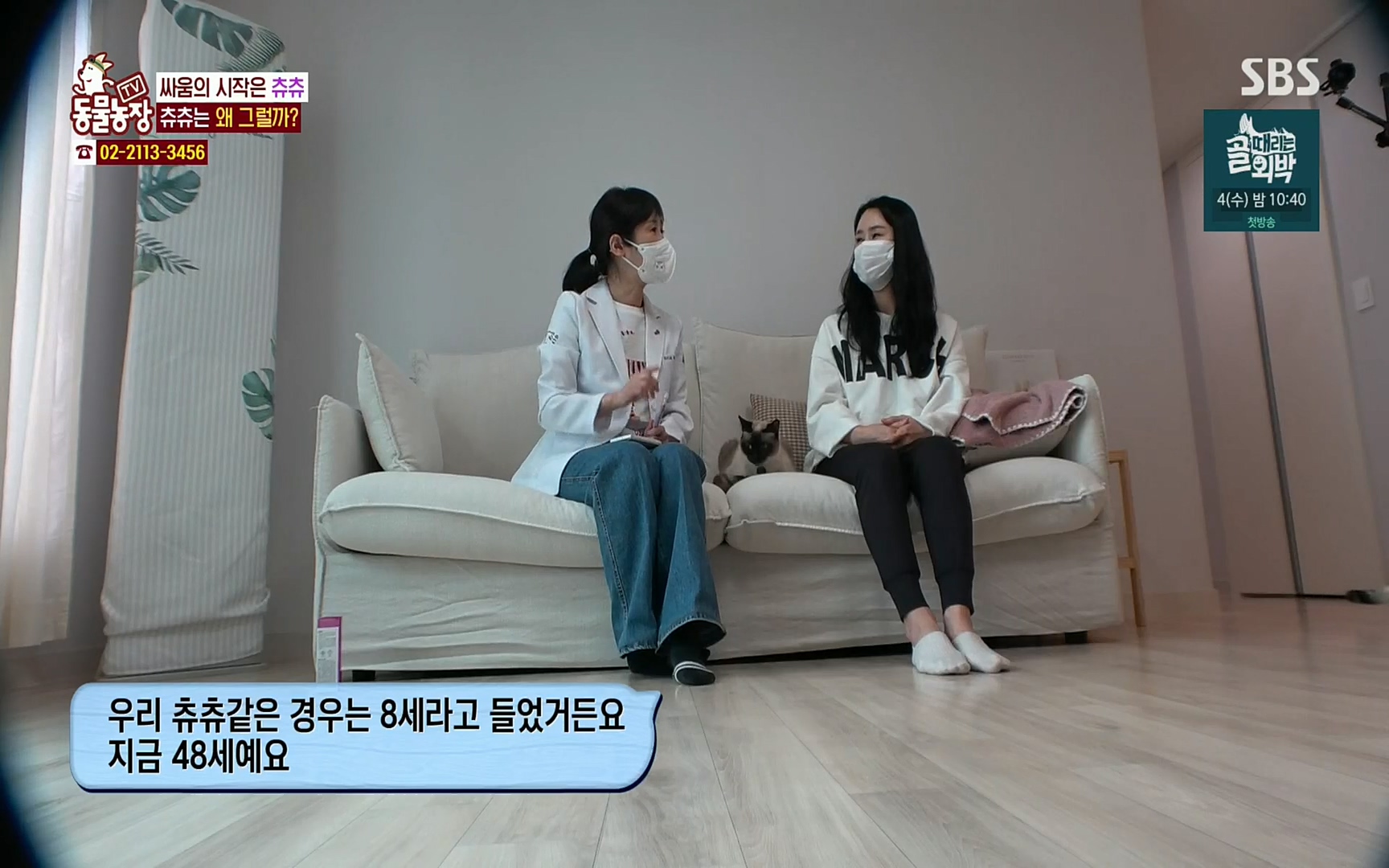 TV 동물농장.E1067.220501p.H264-F1RST.mp4_20220501_182810.168.jpg