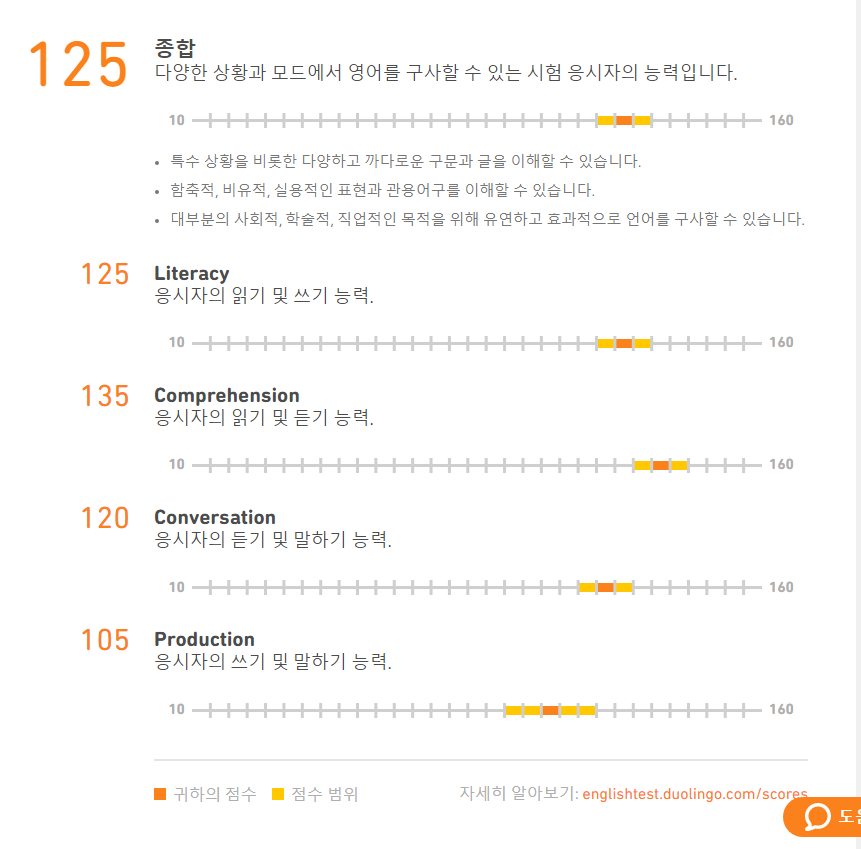 듀오링고-성적표-예시