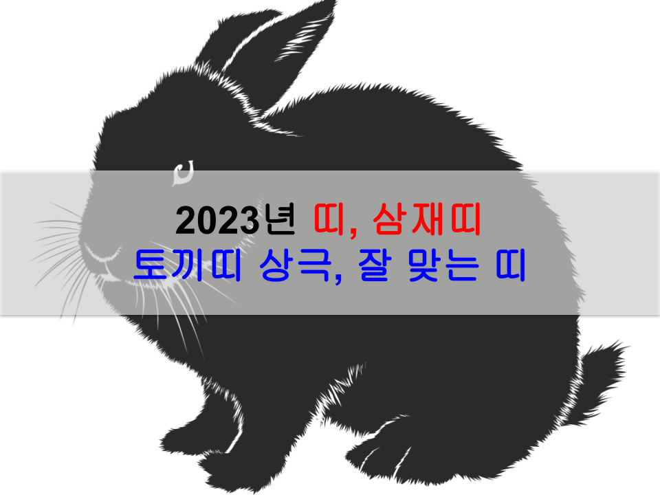 2023년 띠, 삼재띠: 계묘년 토끼띠, 검은 토끼, 흑토끼 (Feat. 2024년 삼재, 띠 정보)