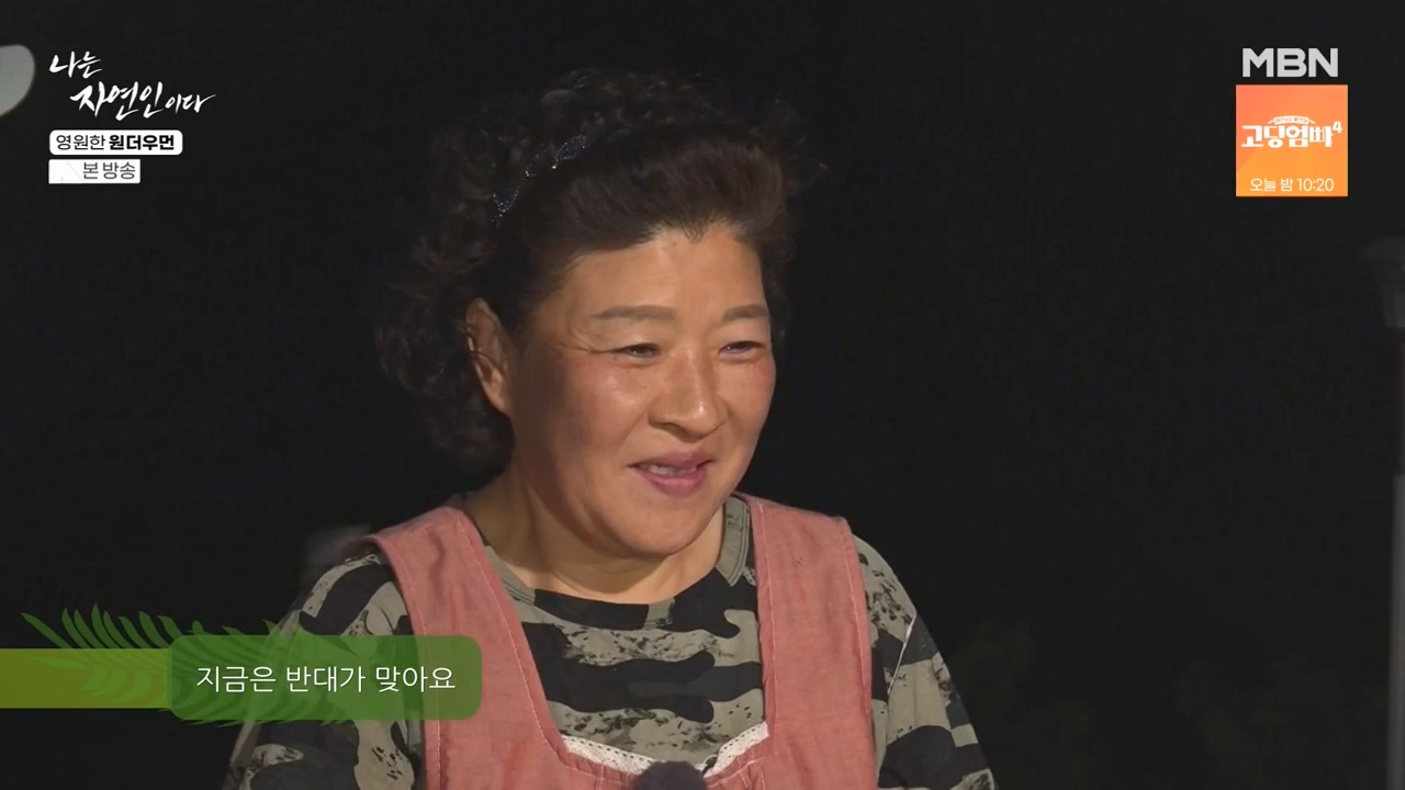 나는 자연인이다.E606.240523p-NEXT.mp4_20240523_195558.128.jpg