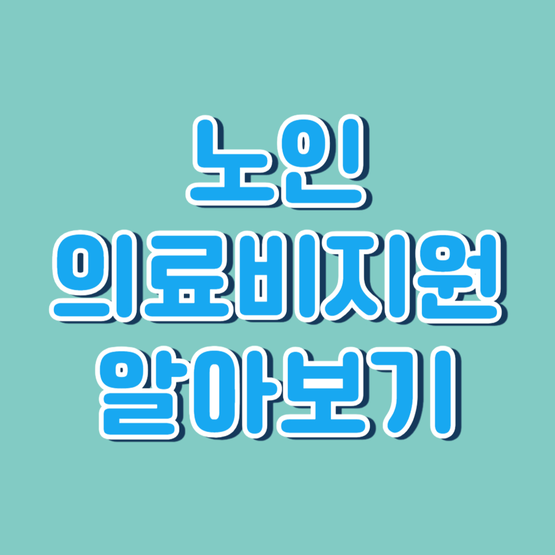 노인 의료비 지원