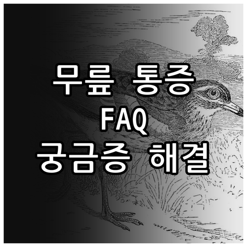 무릎 통증 FAQ: 궁금증 해결, 건