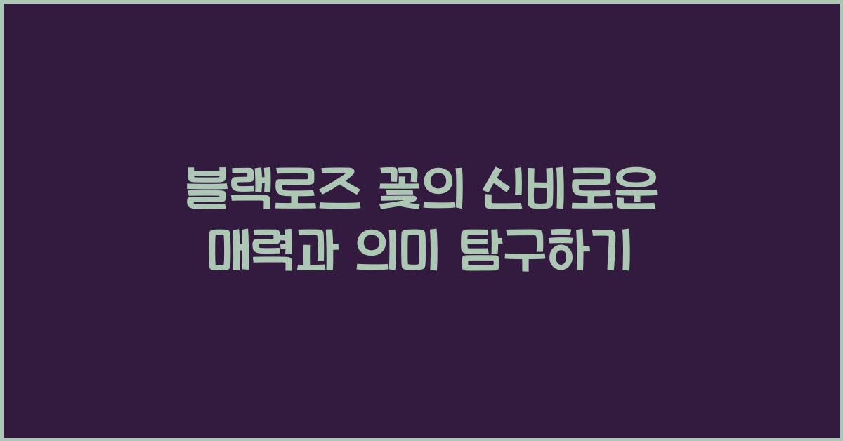 블랙로즈 꽃의 신비로운 매력과 의미