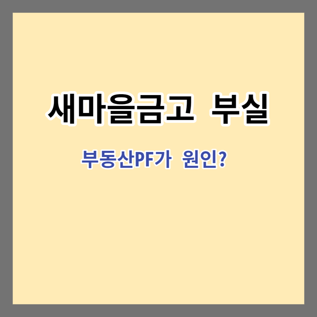 새마을금고 부실 원인