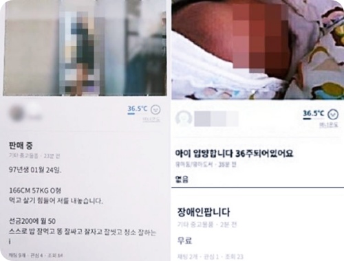  '자신을 판매합니다...또 당근마켓에 논란 글 올라와