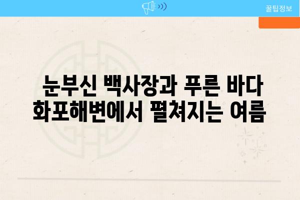  눈부신 백사장과 푸른 바다 화포해변에서 펼쳐지는 여름