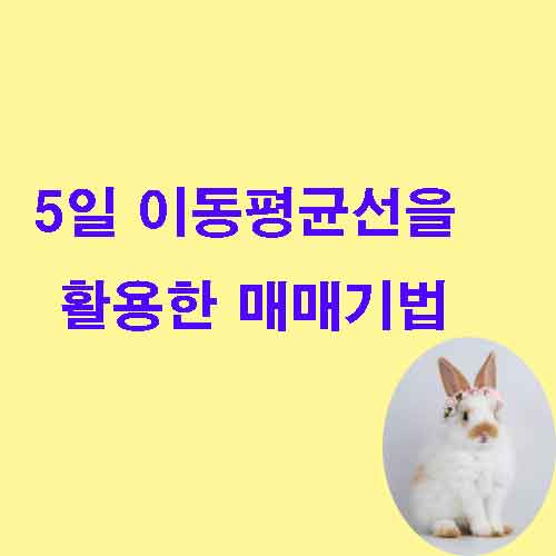 5일이동평균선