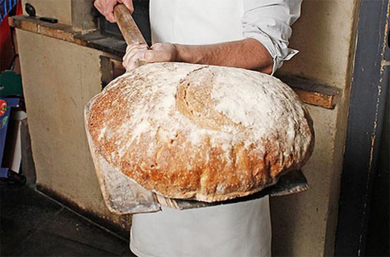 잘 구워진 둥근 모양의 빵