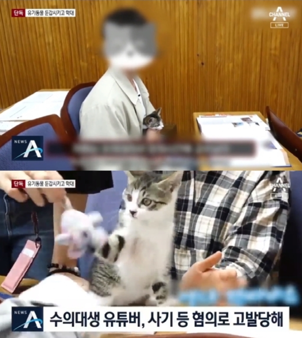  수의대생 갑수목장 동물학대 논란
