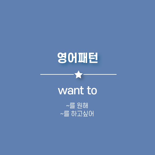  want to, want + 명사 : ~ 를 원해, 하고싶어 영어로