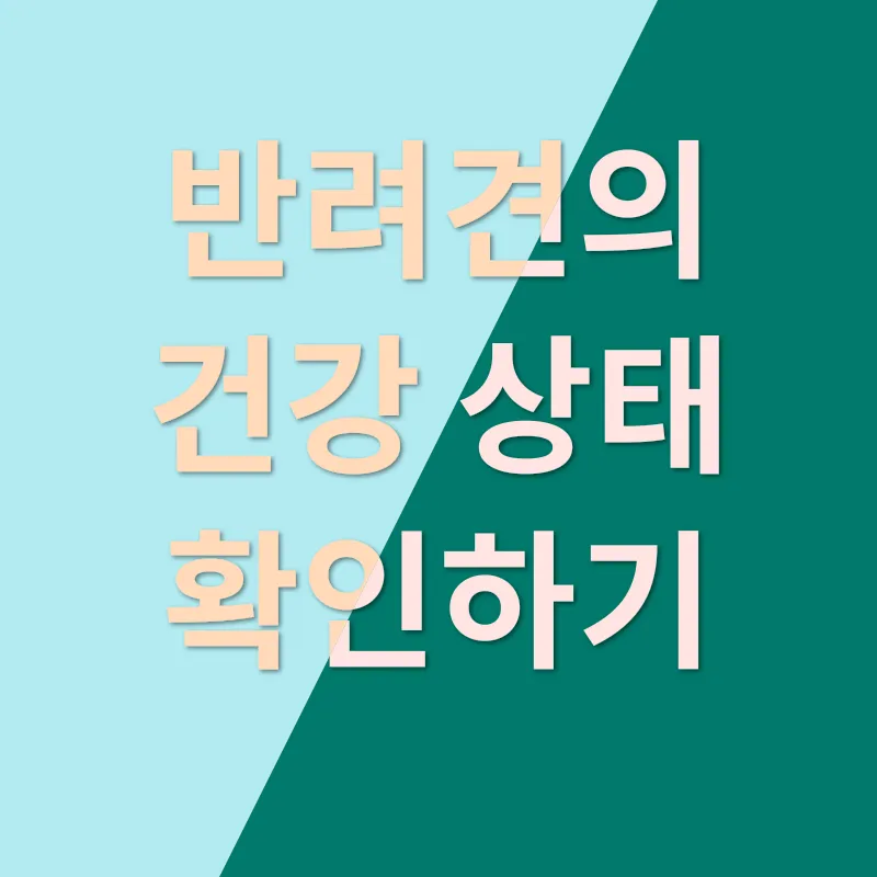반려견 입양 고려사항_3