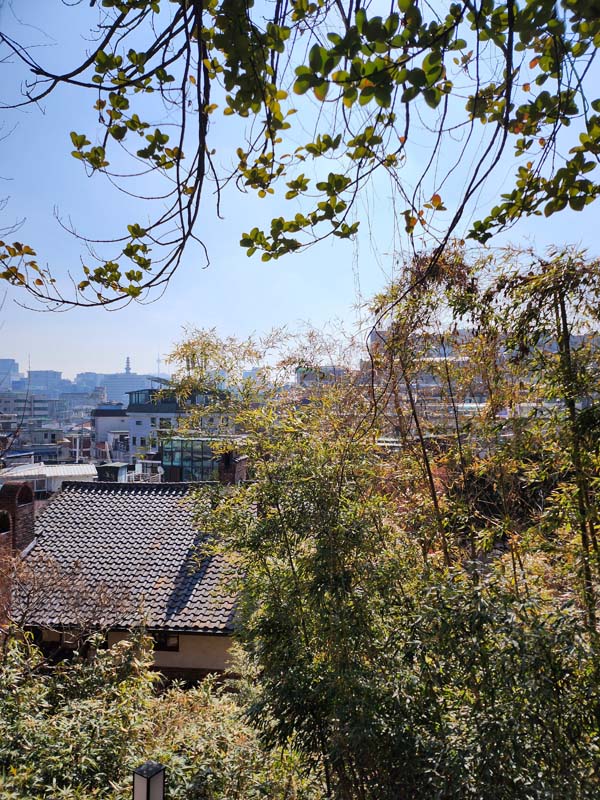 서촌데이트_박노수미술관_정원_뒷동산_뷰