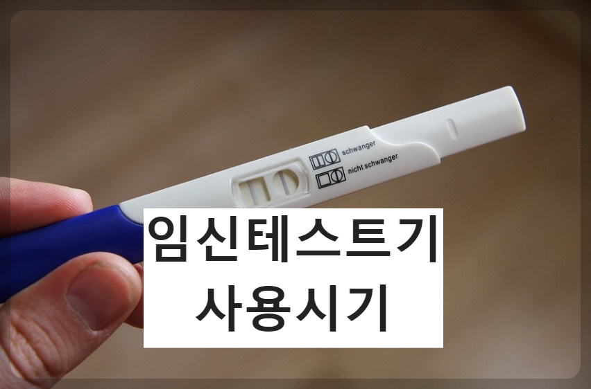  임신테스트기 사용시기 제대로 알아야! 임테기 사용시기 총정리