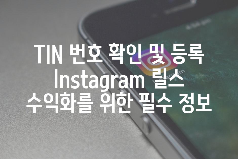 TIN 번호 확인 및 등록 Instagram 릴스 수익화를 위한 필수 정보