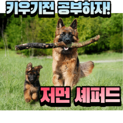 나무가지를 물어오고 있는 성견 저먼 셰퍼트와 어린 강아지가 함께 뛰어오는 모습 사진