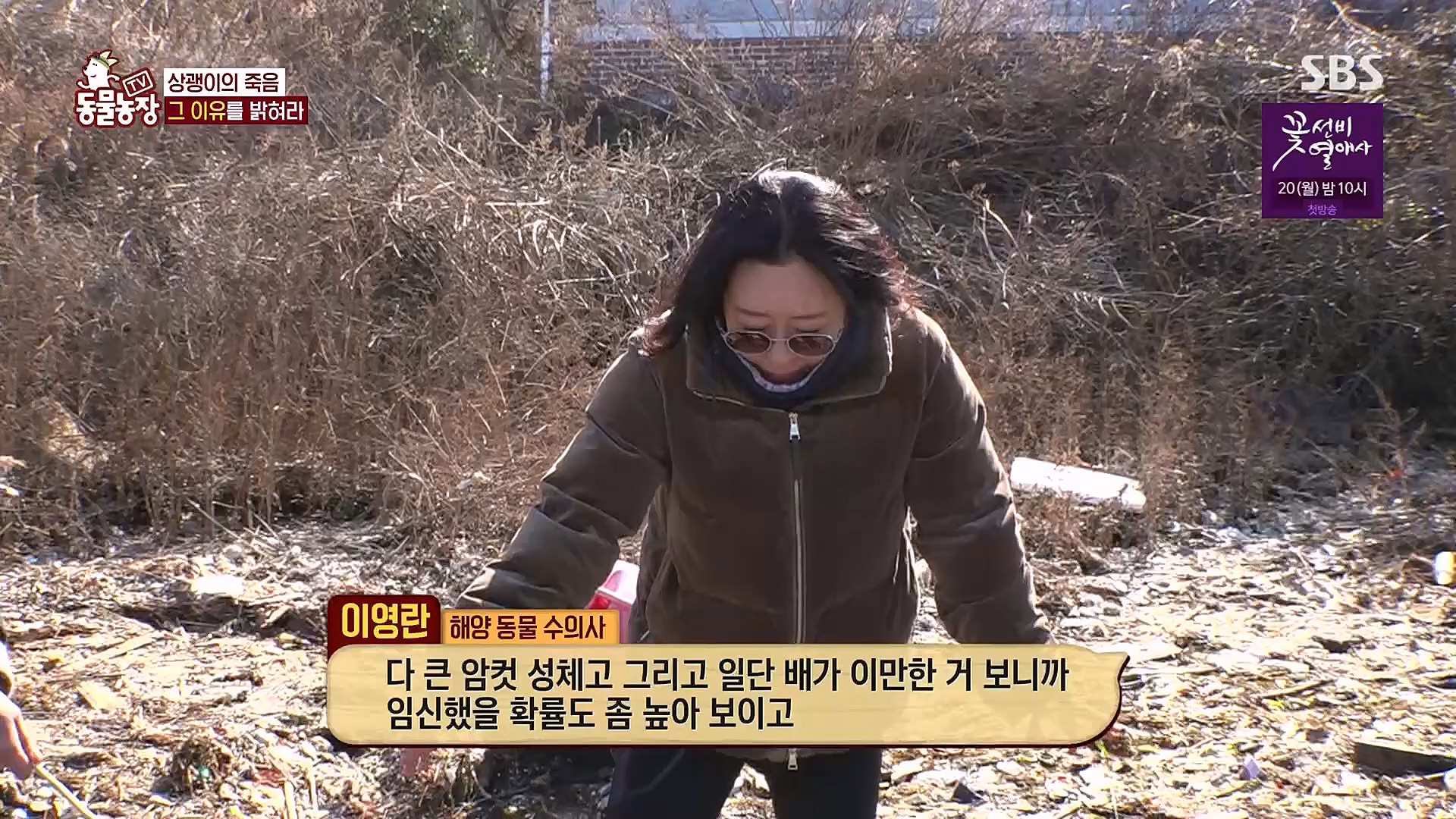 TV 동물농장.E1111.230312p.H264-F1RST.mp4_20230312_180005.212.jpg