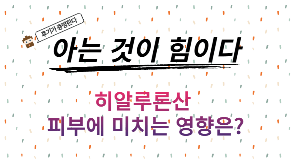  히알루론산 효능 부작용 / 히알루론산이 피부에 미치는 영향(저분자고분자)