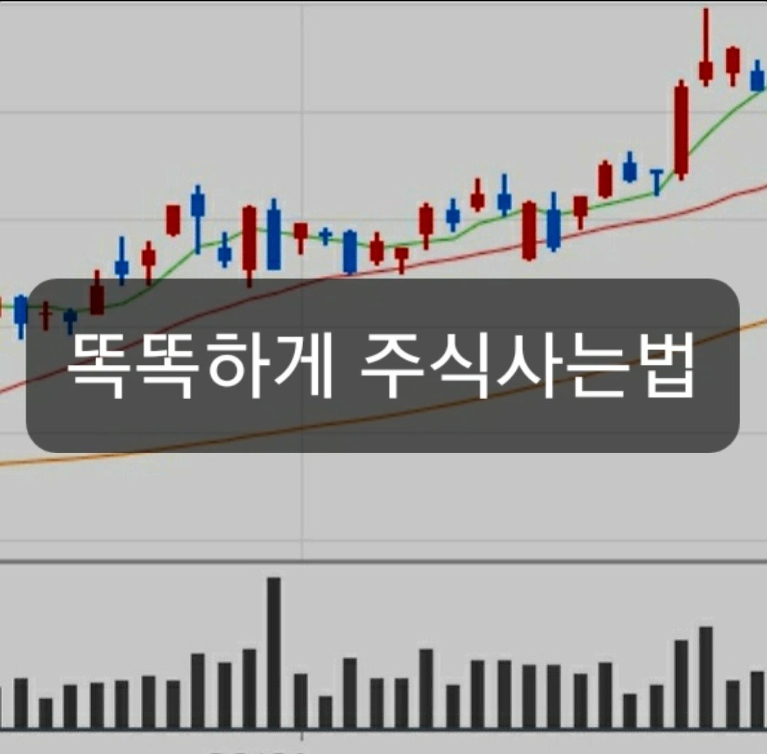  똑똑하게 주식사는법