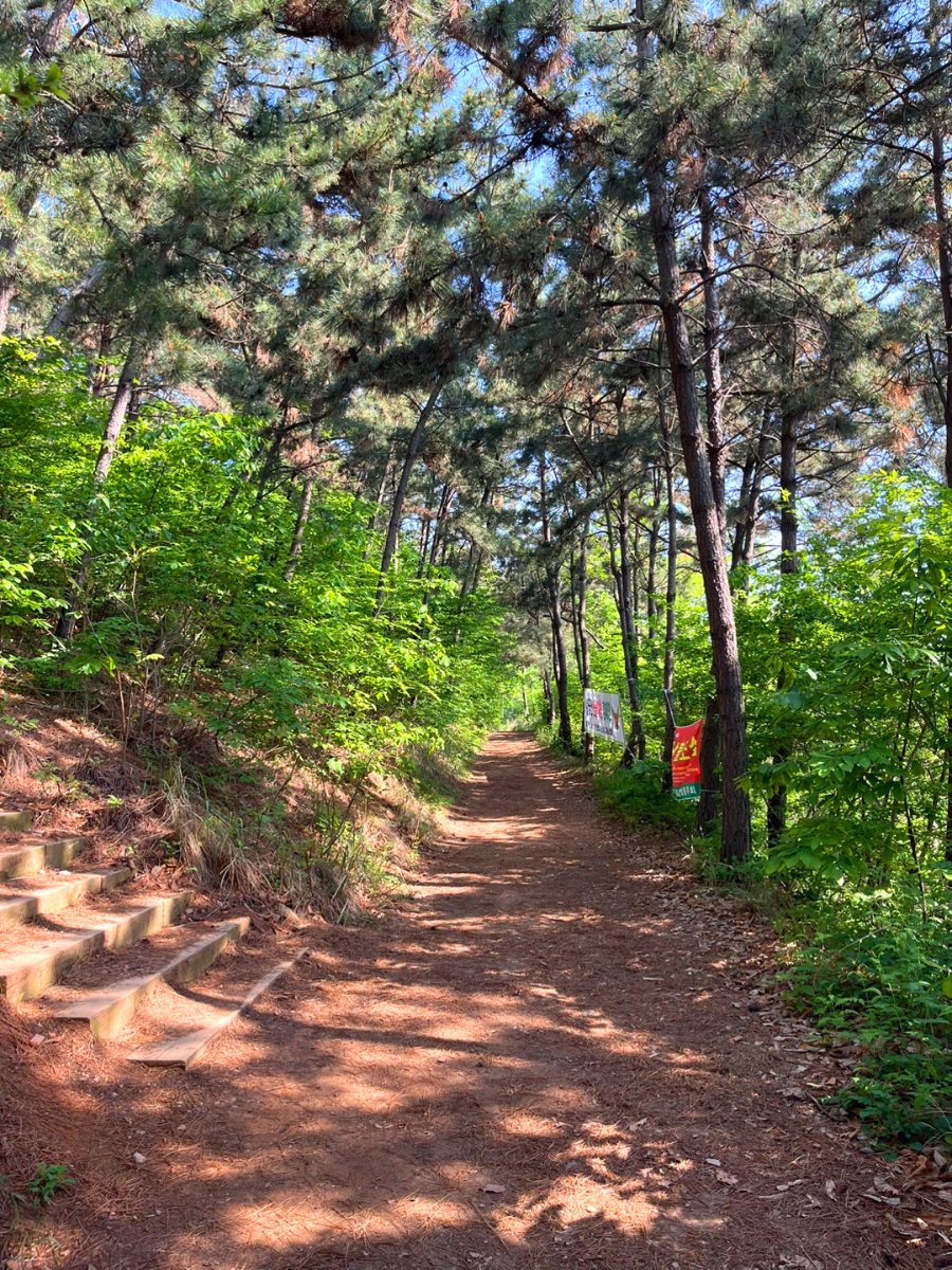 황금산 등산로1
