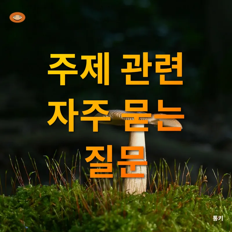 버섯 요리_4