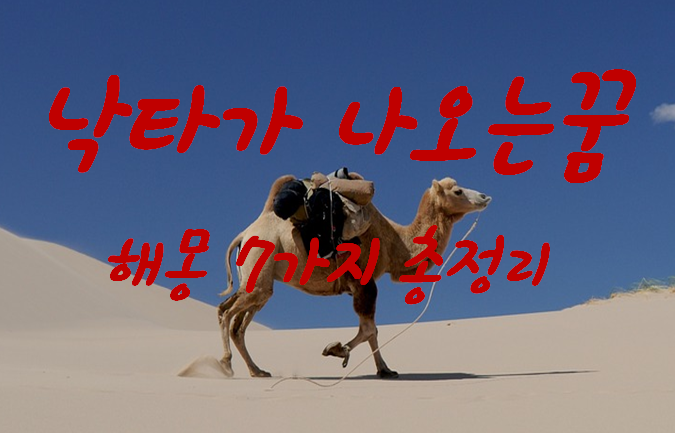  낙타꿈 해몽 7가지 총정리