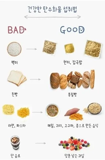 탄수화물 많은음식 적은음식_3