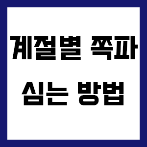 쪽파 심는시기, 쪽파 파종시기 ❘ 봄, 여름, 가을, 겨울, 김장쪽파 등1