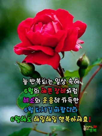 6월 인사말 모음집_4