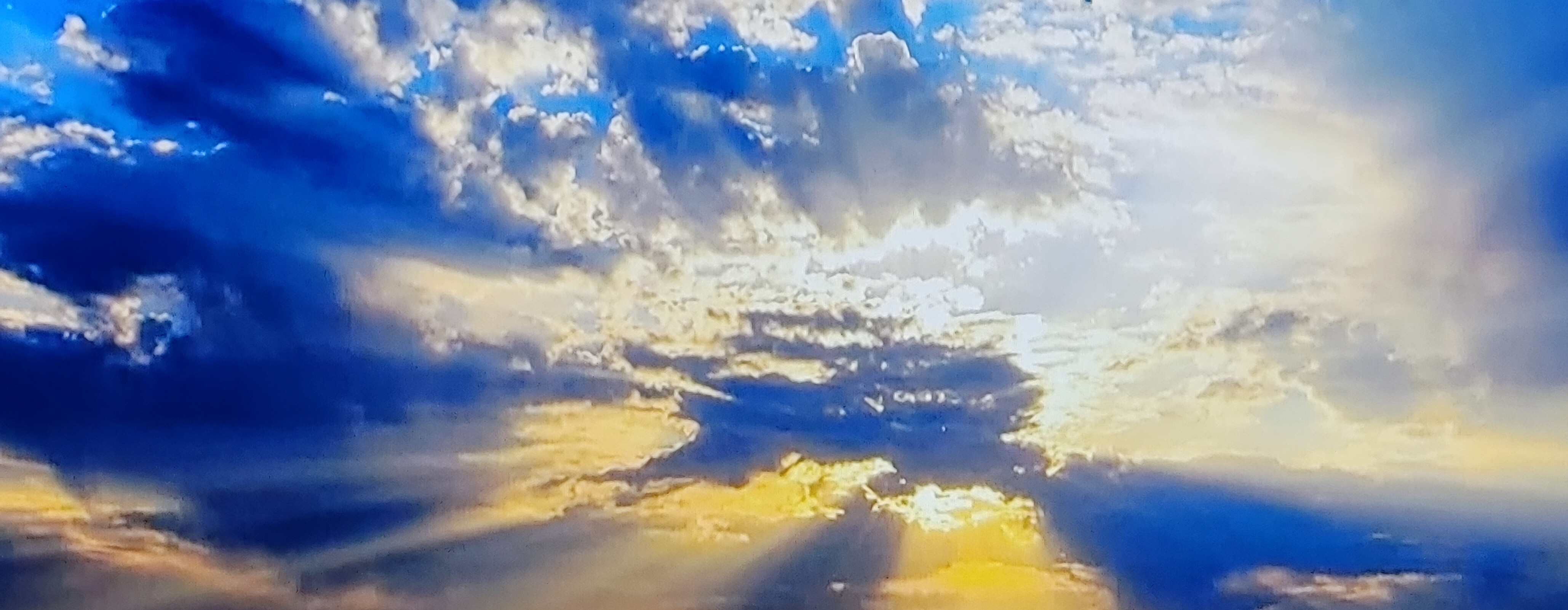 img.jpg