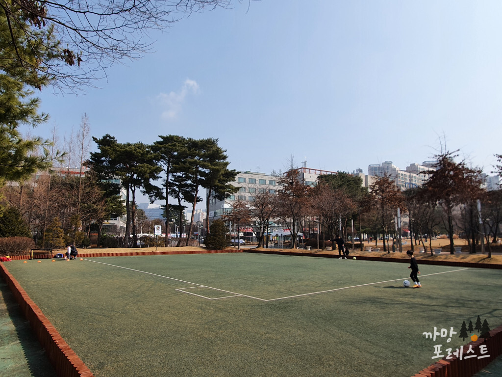 동탄센트럴파크 잔디구장