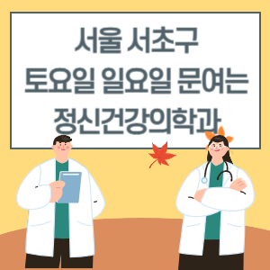 서울 서초구 토요일 일요일 재활의학과 진료 병원 리스트