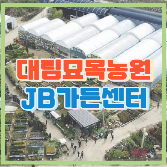  대림묘목농원(JB가든센터)과 묘목 종류 - 옥천 묘목 시장
