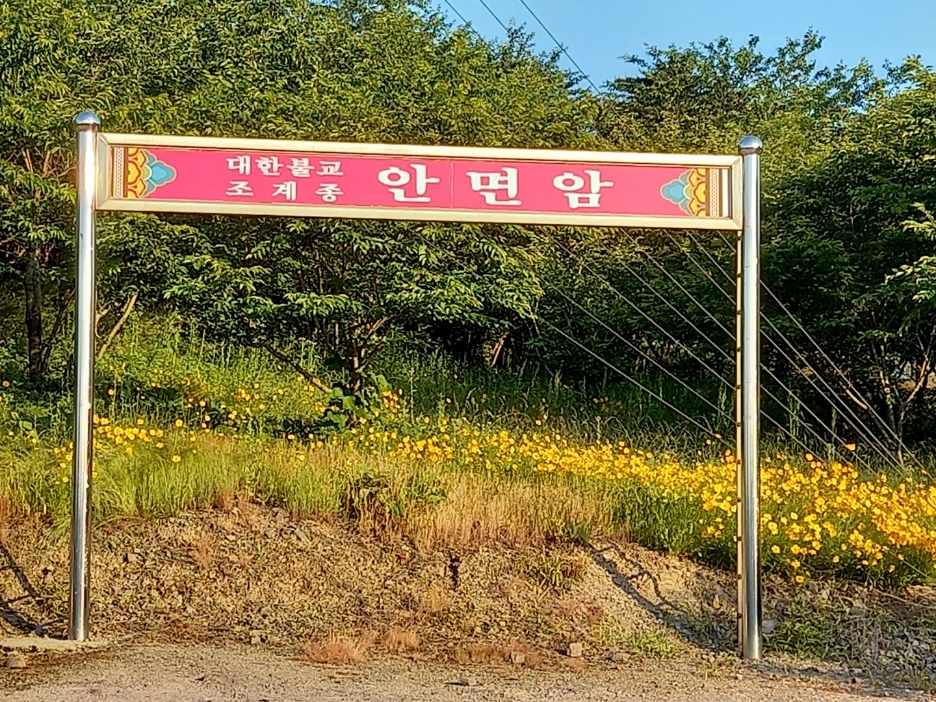img.jpg