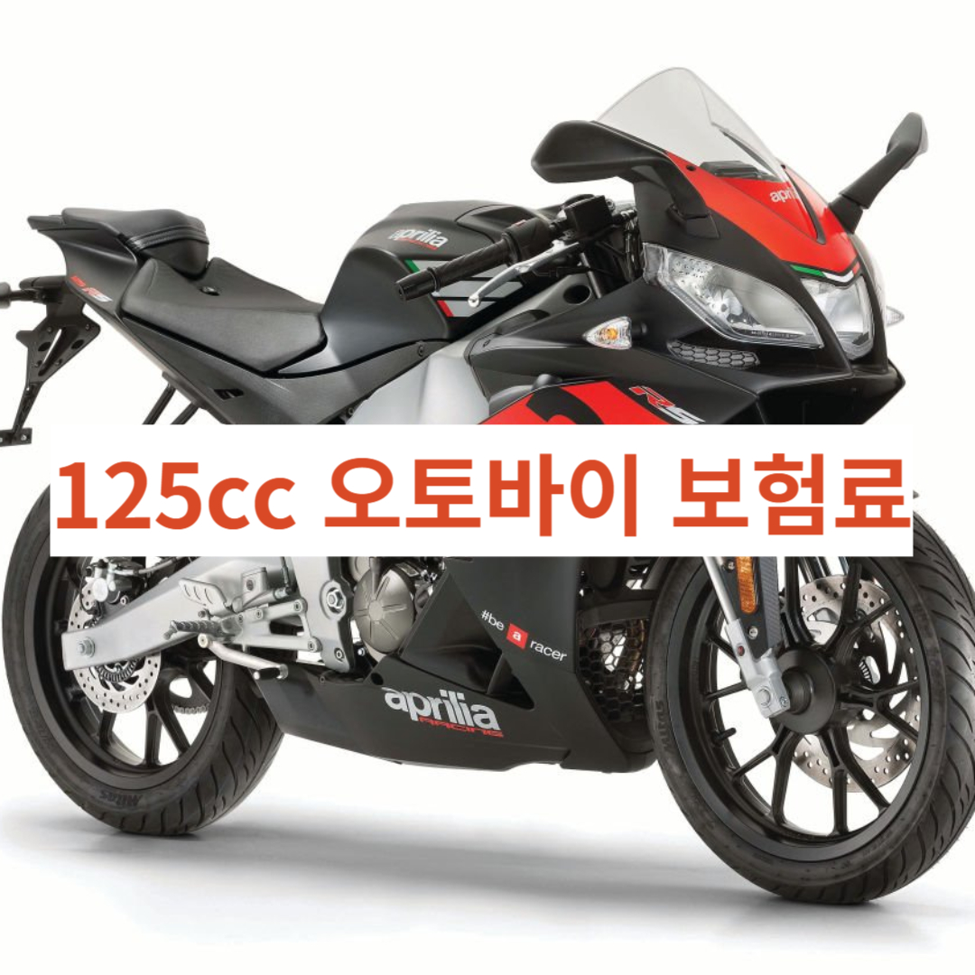 125cc 오토바이 보험료
