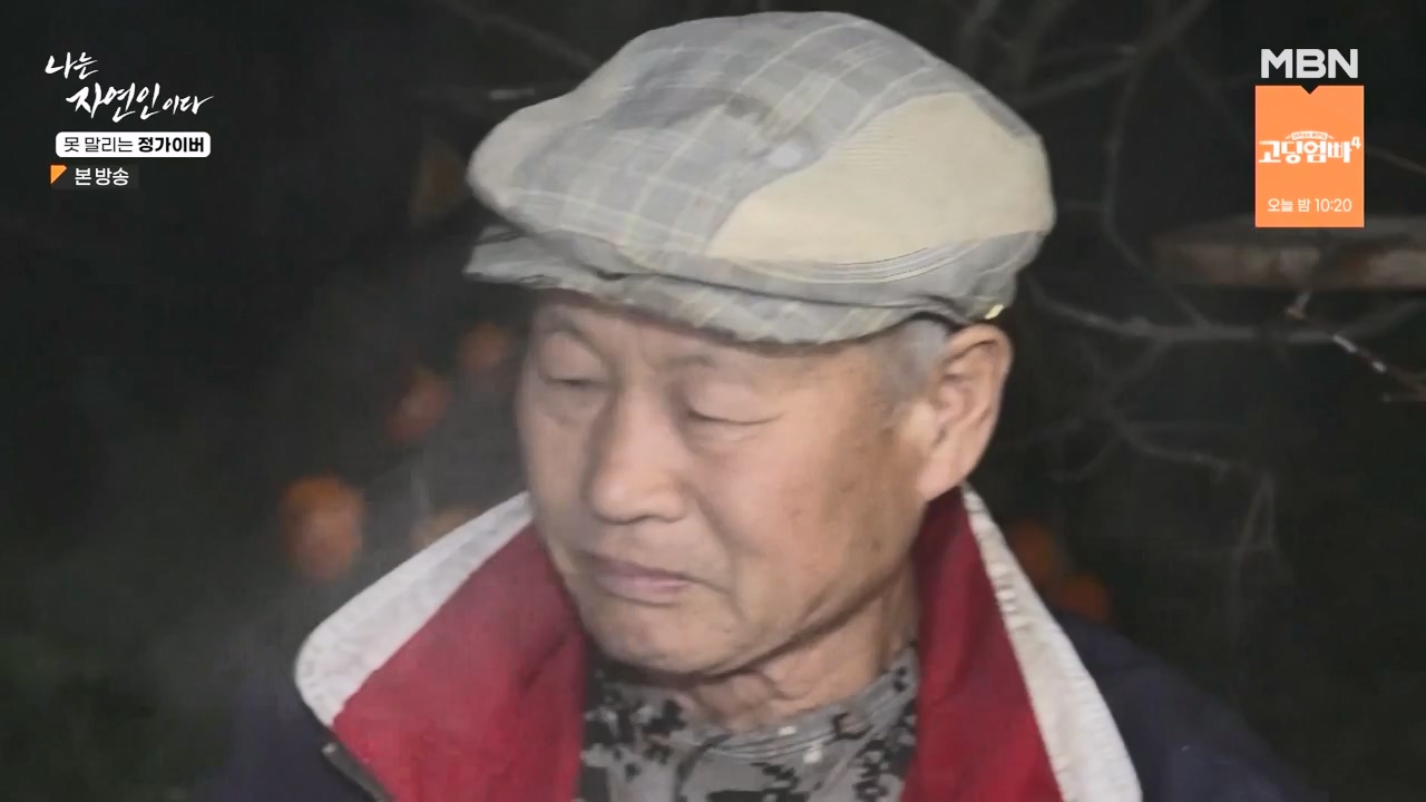 나는 자연인이다.E580.231116p-NEXT.mp4_20231116_202510.160.jpg