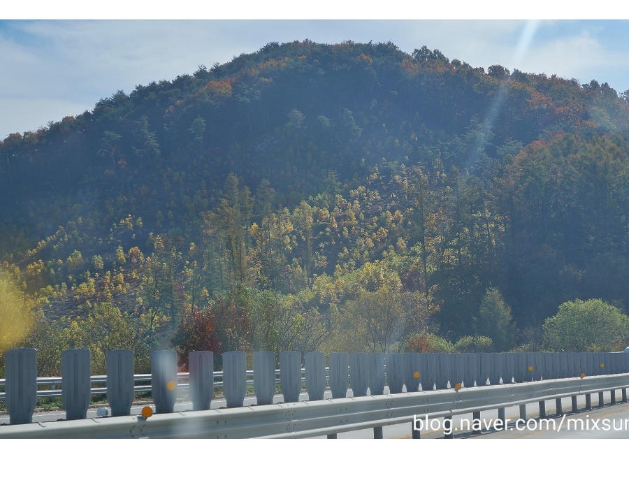 단풍구경 가볼만한 곳 괴산 가볼만한곳 25