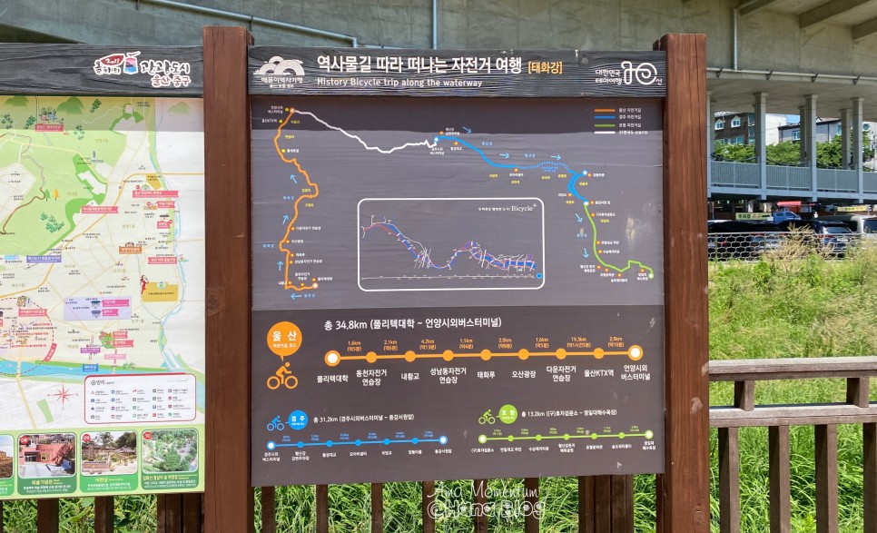 꽃양귀비 [ 울산 여행 ] 한 폭의 수채화♥ 양귀비와 59