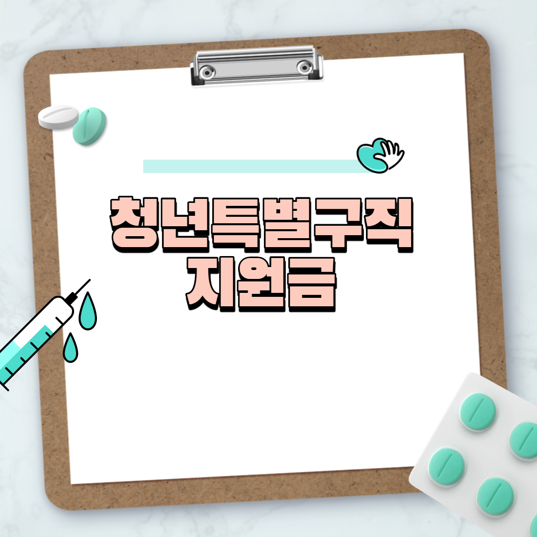  청년특별구직지원금