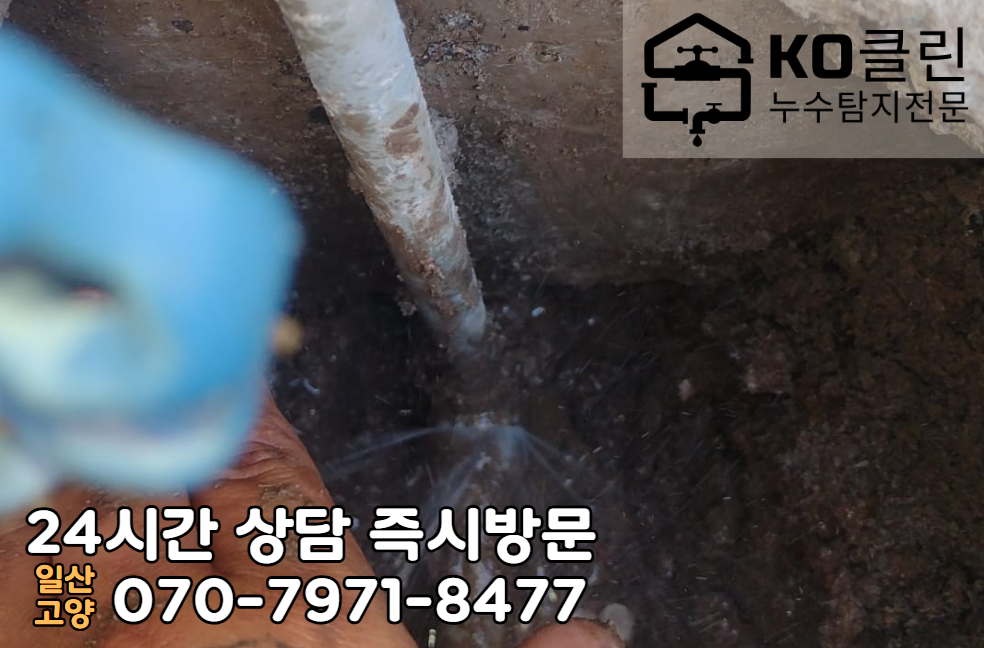 현천동 주택3