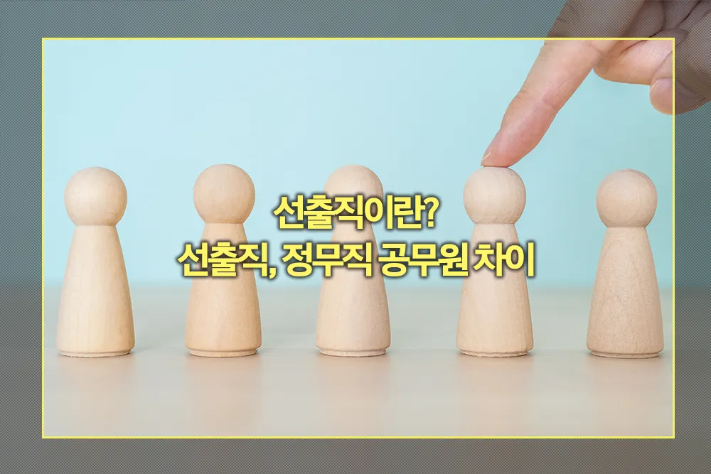 선출직, 정무직 공무원 차이