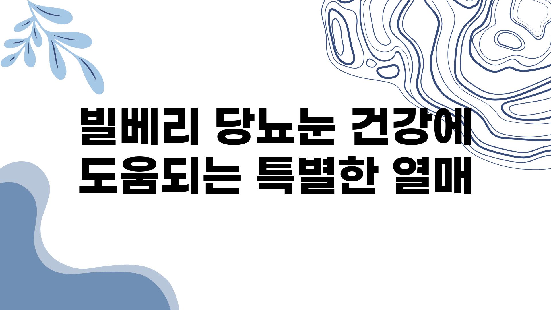 빌베리 당뇨눈 건강에 도움되는 특별한 열매