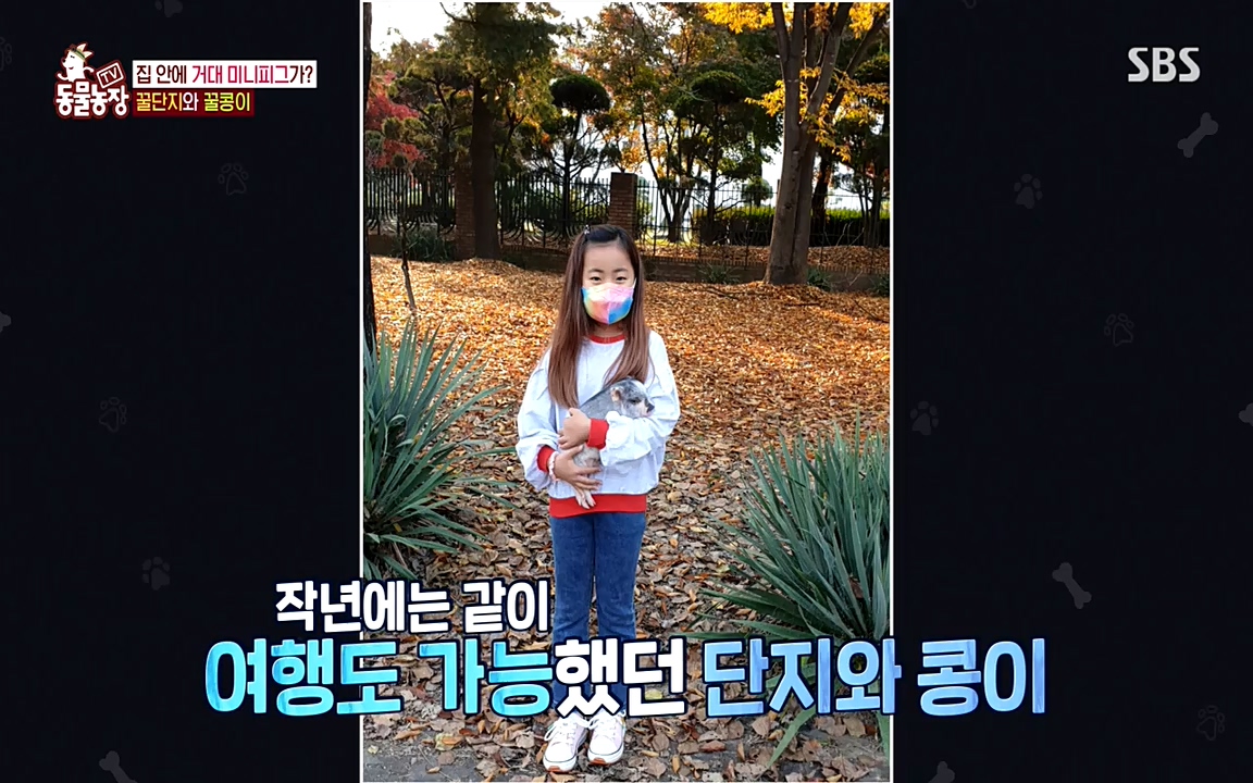 TV 동물농장.E1080.220732p-NEXT.mp4_20220731_174231.118.jpg