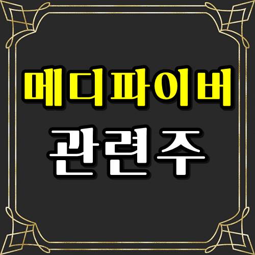  메디파이버 관련주 급등 블루마스크 주목!!!