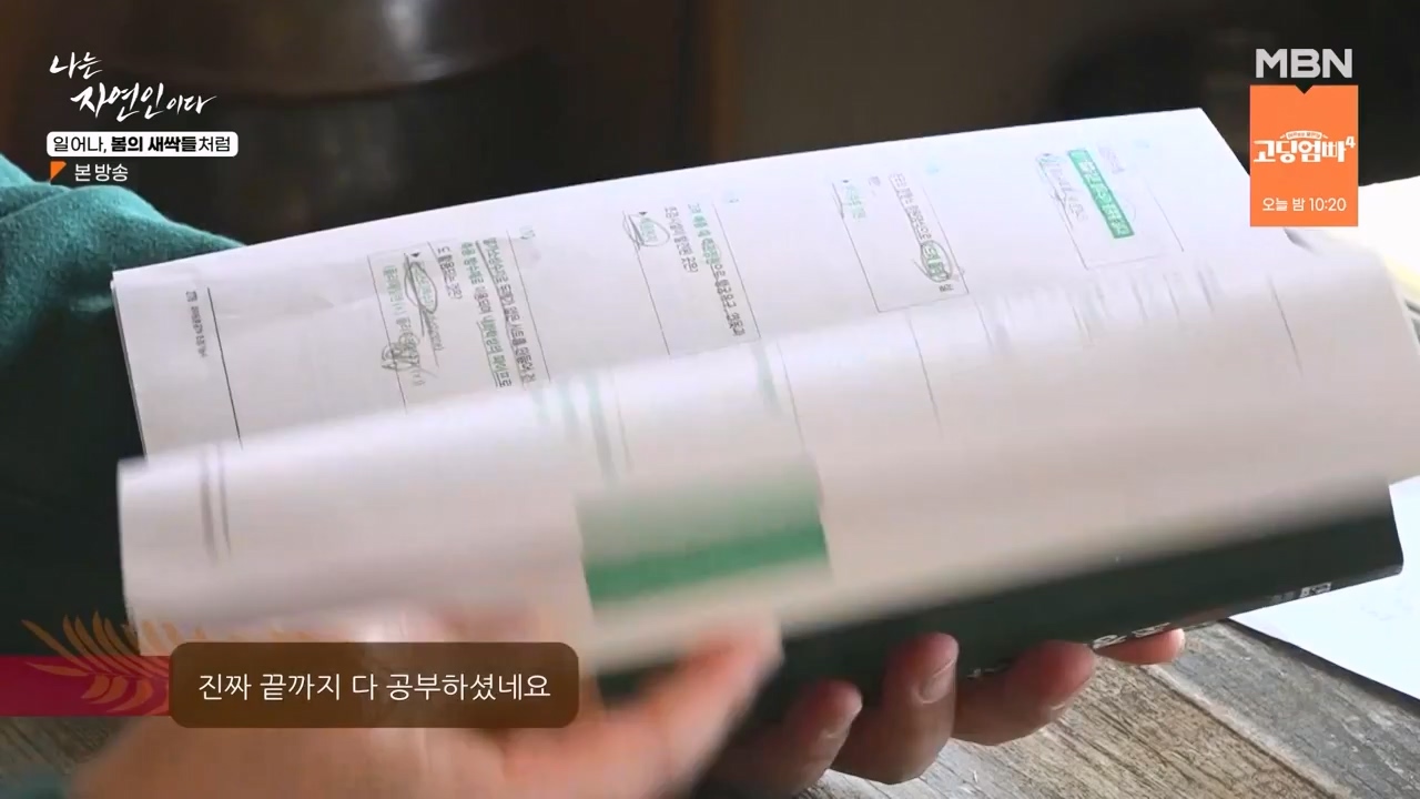 나는 자연인이다.E593.240215p-NEXT.mp4_20240215_200739.242.jpg